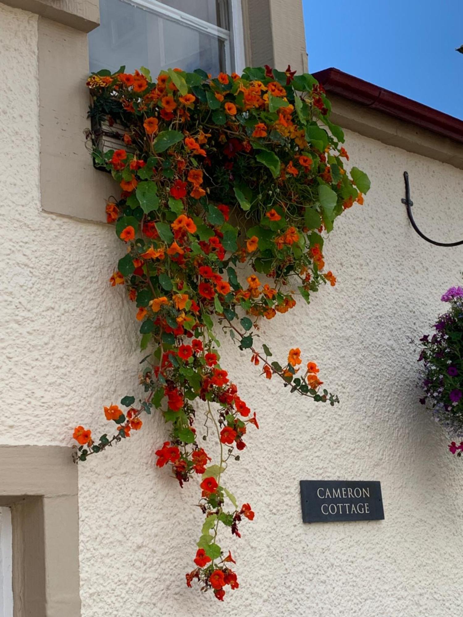 Cameron Cottage Inverkip エクステリア 写真